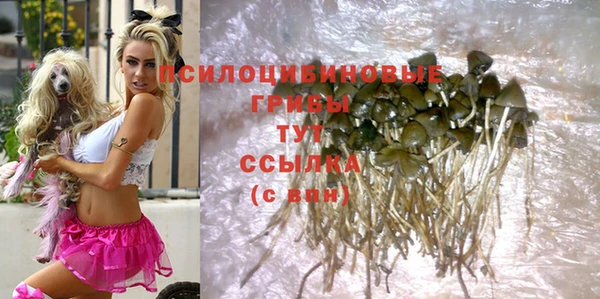 меф Бородино