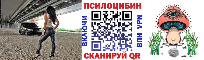 Купить где  Тырныауз  Псилоцибиновые грибы мицелий 